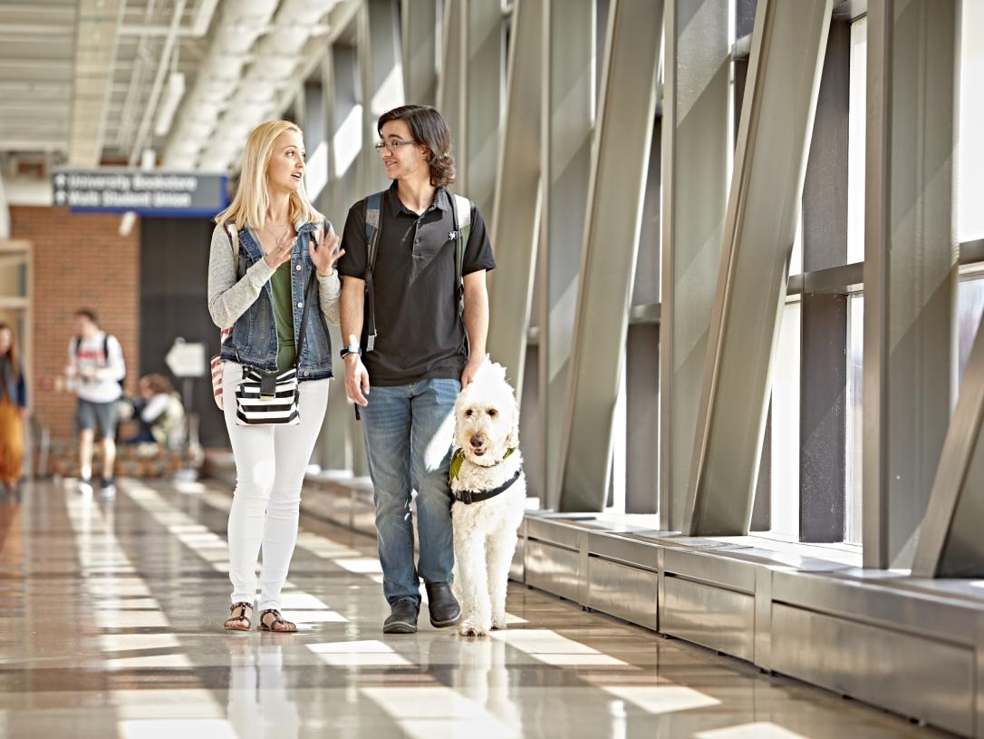 Students walking with service animal