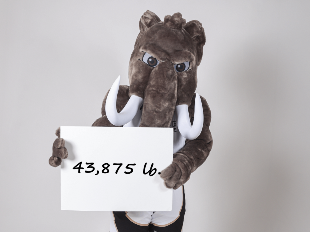 Don the mastodon holding a sign