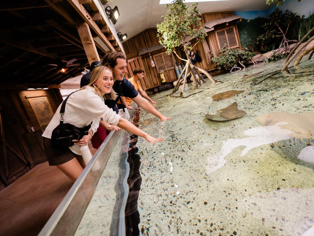 Three people are standing next to a tank containing sting rays