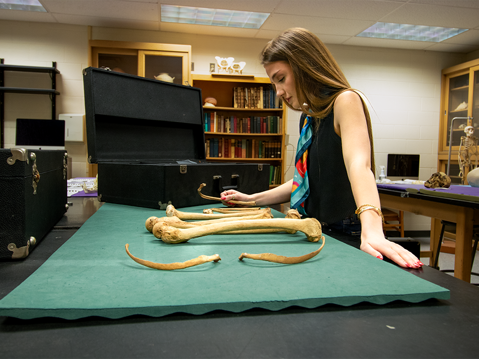 COLA_ANTH Lab student with skeletal bones