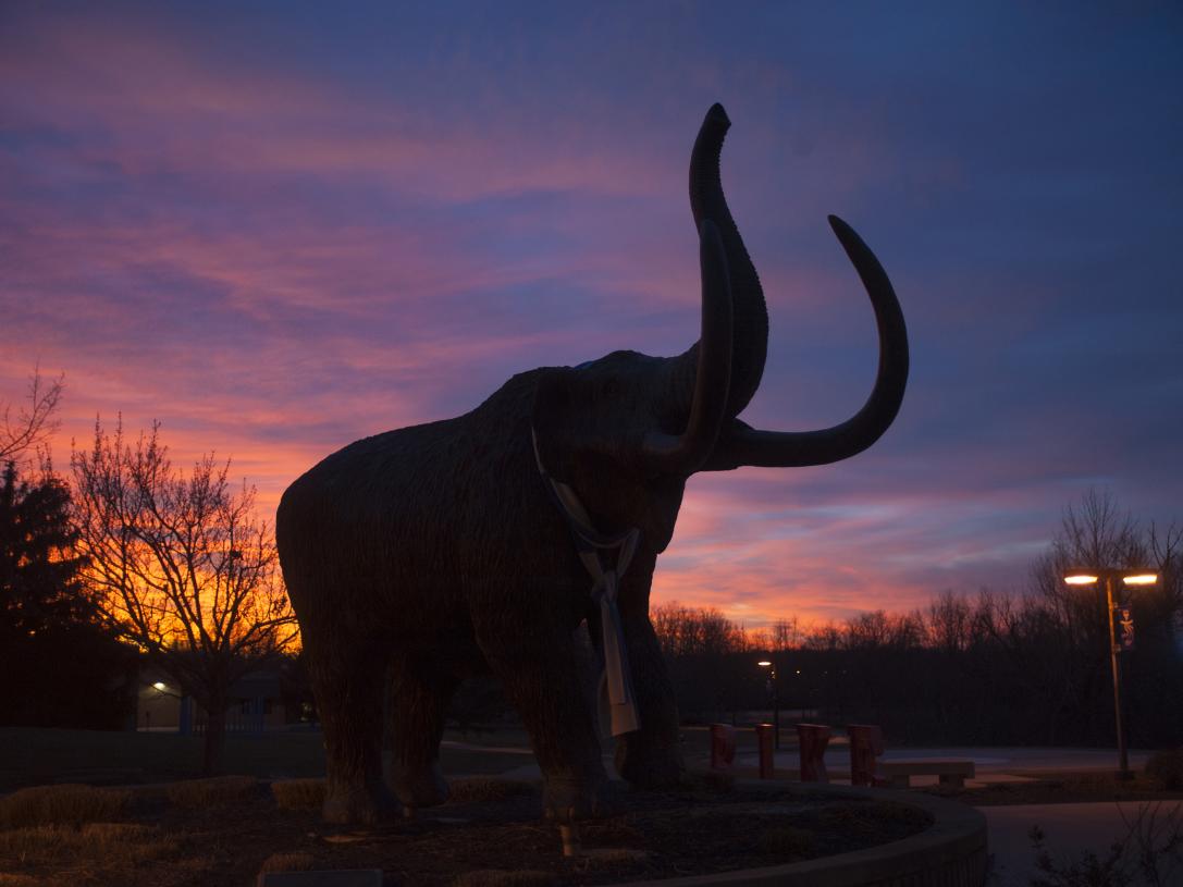 Bronze mastodon silhouetted in the evening sunset.
