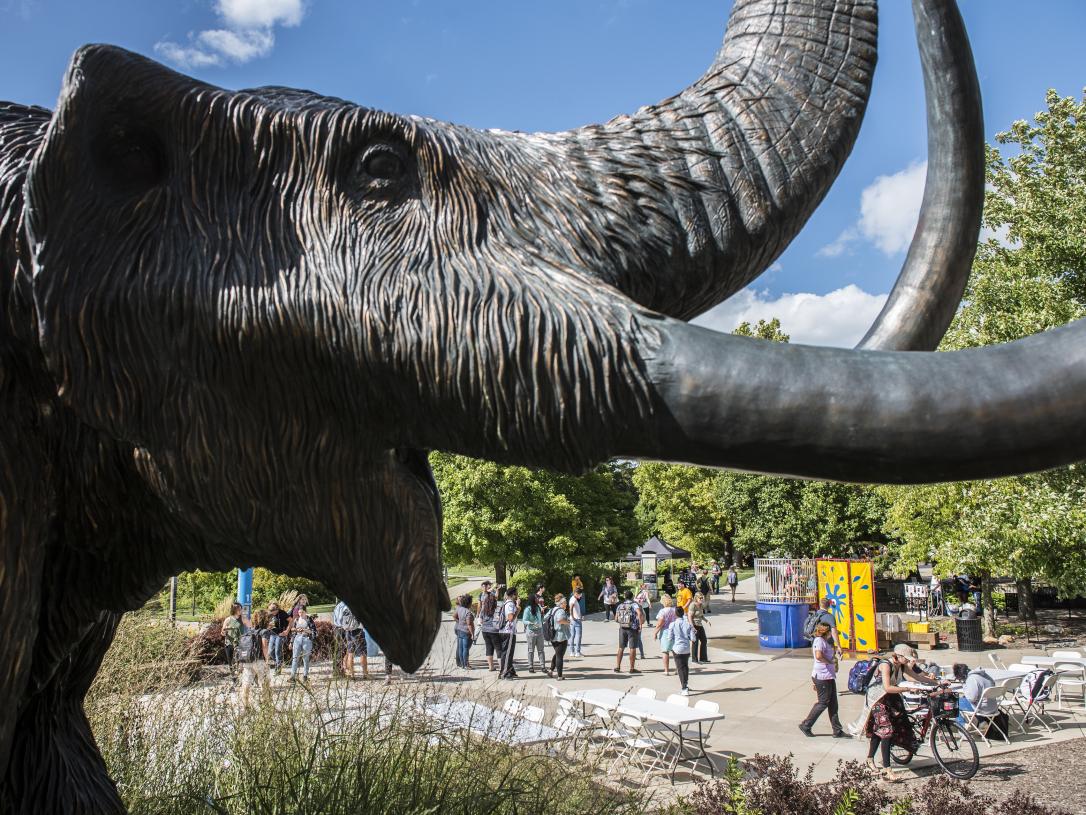 Bronze mastodon statue on campus on a summer afternoon.