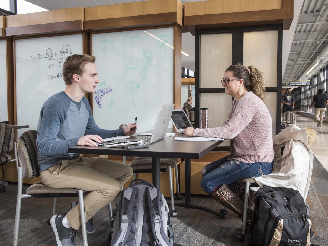 Students studying together.