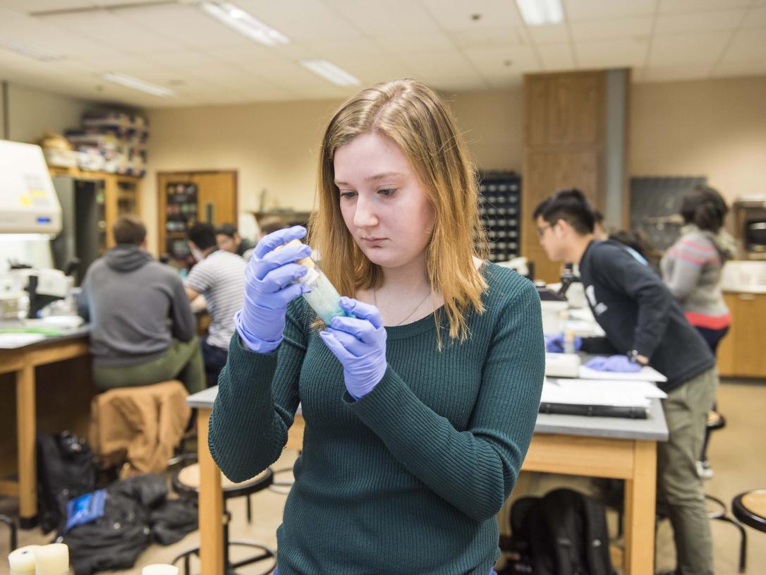 Biology student examining a specimen in a lab setting.