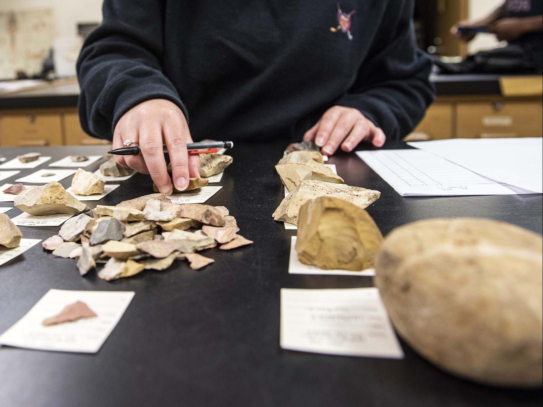 Anthropology record taking on samples in a lab setting