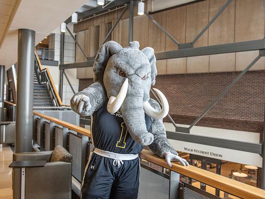 PFW's mascot, Don