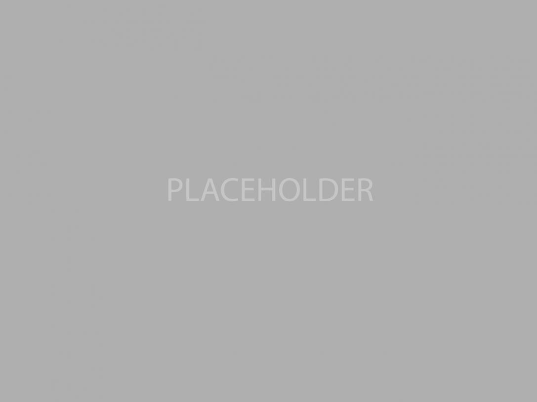 Placeholder image in grey