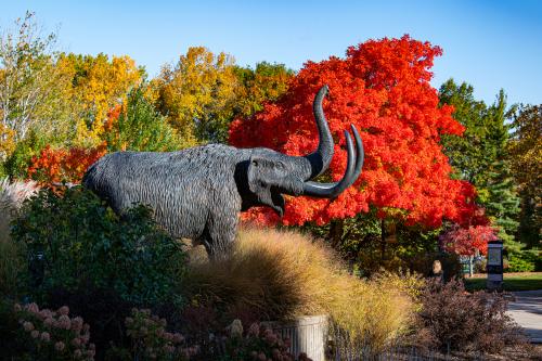 Mastodon Statue