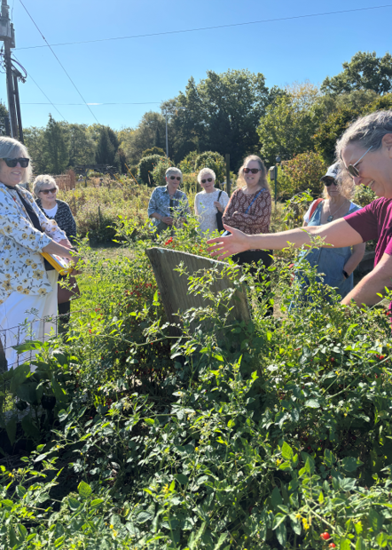 FRIENDS ladies touring the Urban Garden on campus