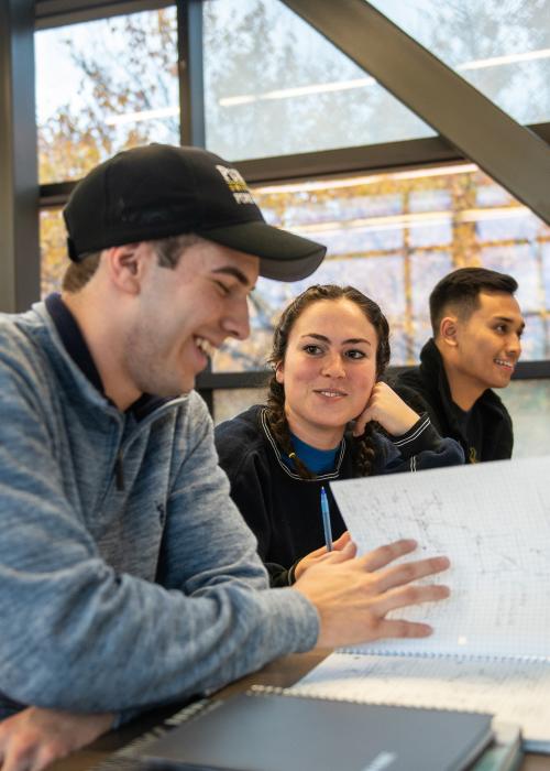 Students studying
