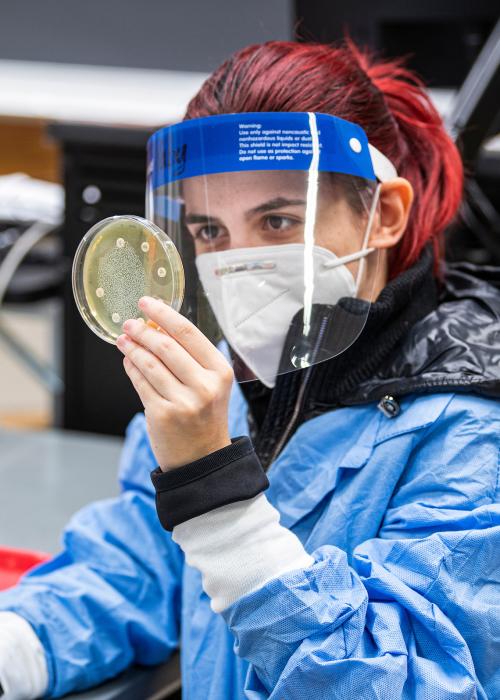 Student in a lab