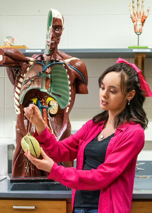 Students in class