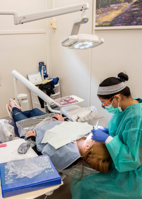 Dental clinic examination