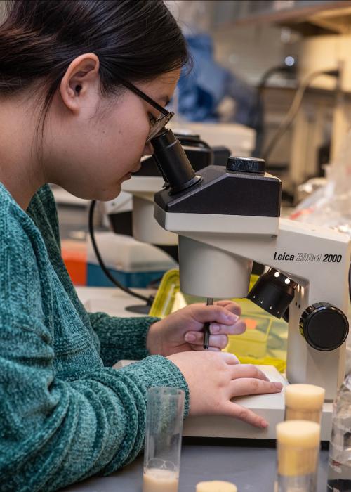 Student working in a biology lab.