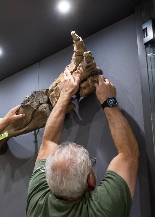 Garth Dallman, left, and Mike Thom of Research Casting International precisely place the left front foot of Donna for the display on Tuesday, Aug. 13.