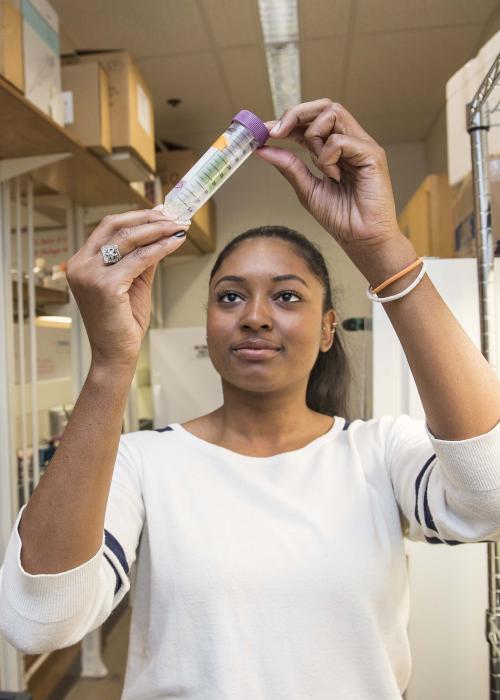 Student examining a sample in a biology lab.