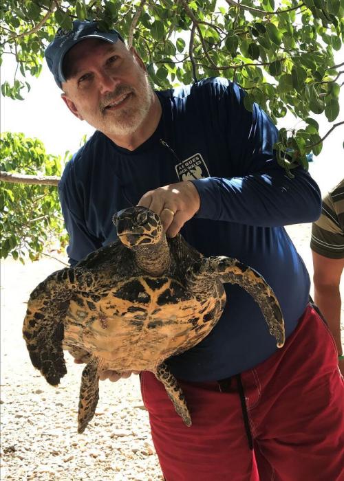 Professor Frank Paladino with a hawksbill turtle.