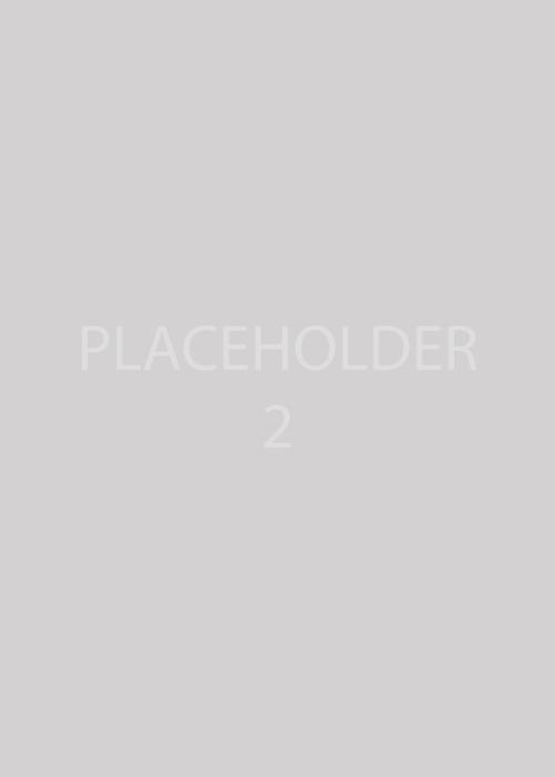 Placeholder image in grey option 2