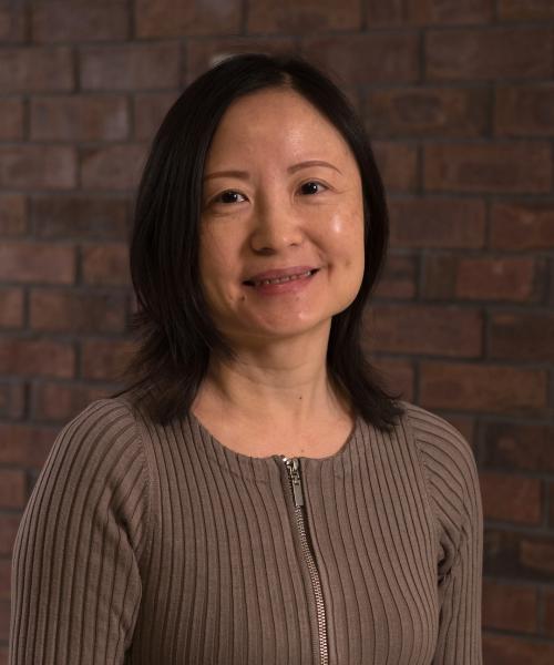 Professor Wei Luo