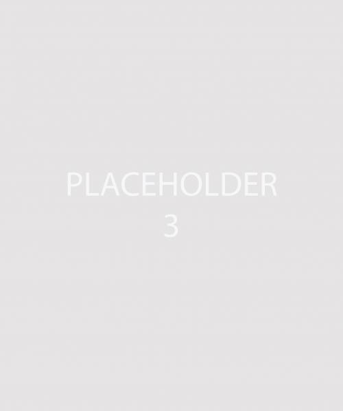 Placeholder image in grey option 3