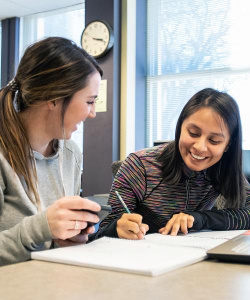 Students studying together