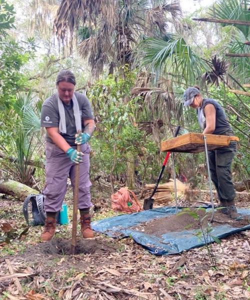 Whitney Hadley-Salay working on Cumberland Island.