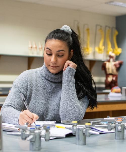 Student studying
