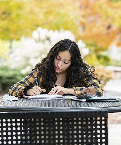 Student studying