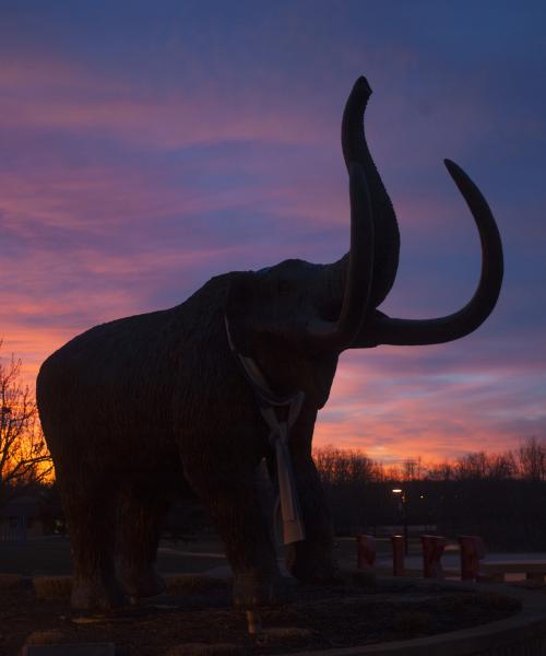 Bronze mastodon silhouetted in the evening sunset.
