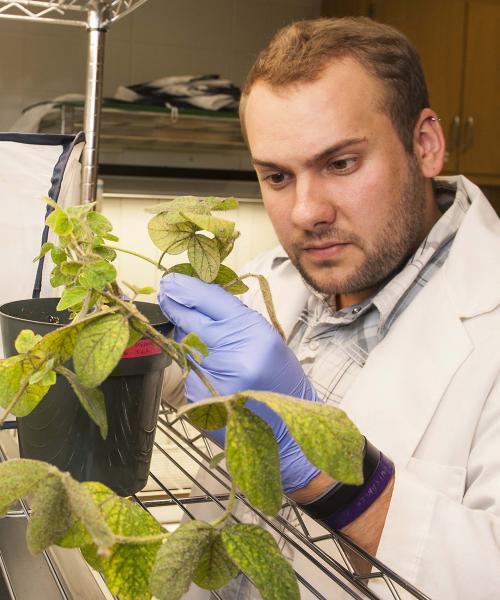 Biology students examining a plant for research.