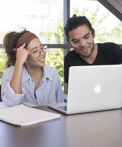 Students studying together.