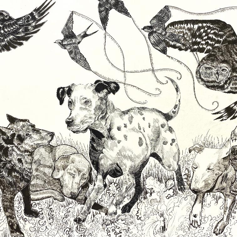 Illustration of dogs and birds by Chiloe-Joi Pablo