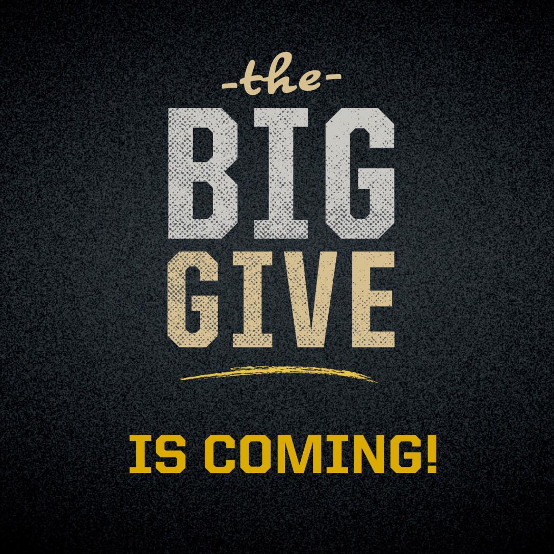 The Big Give is Coming!