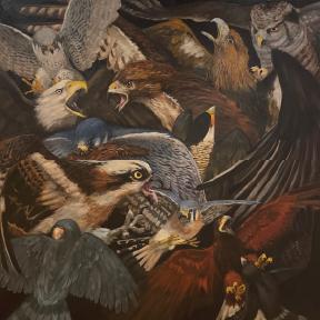 Painting of many birds of prey that appear to be agitated.