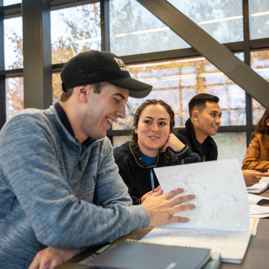 Students studying