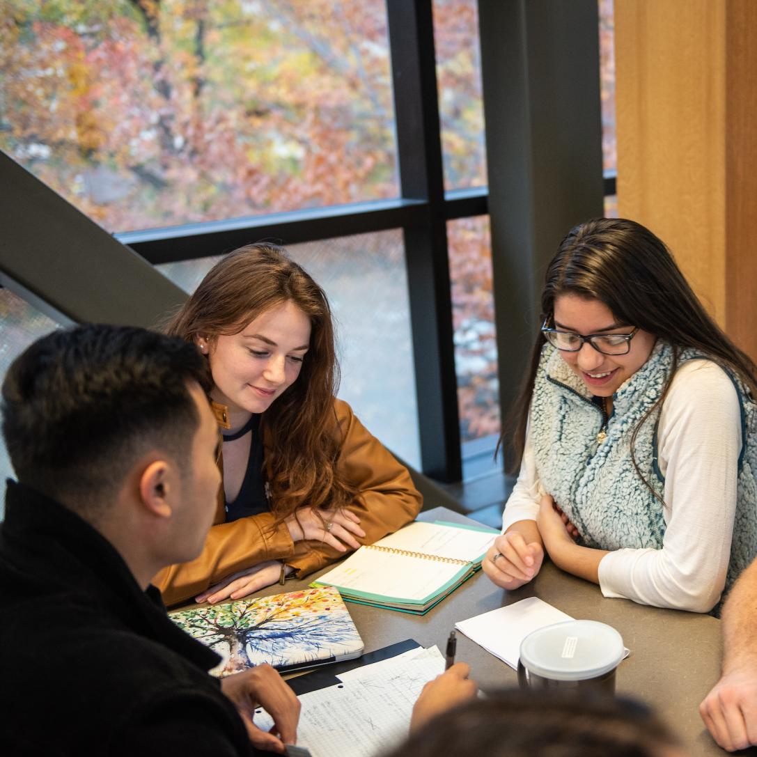Students studying