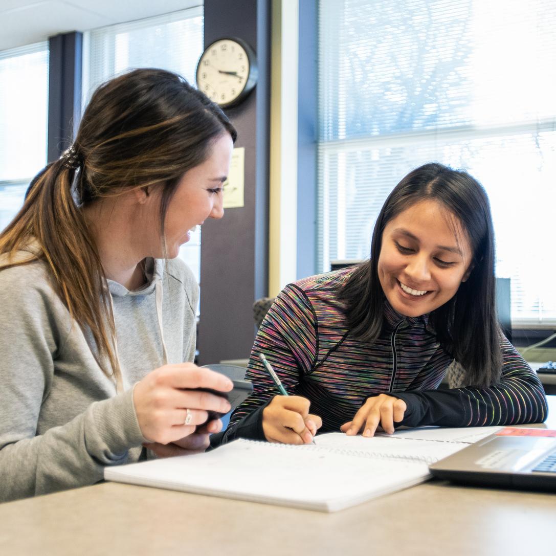 Students studying together