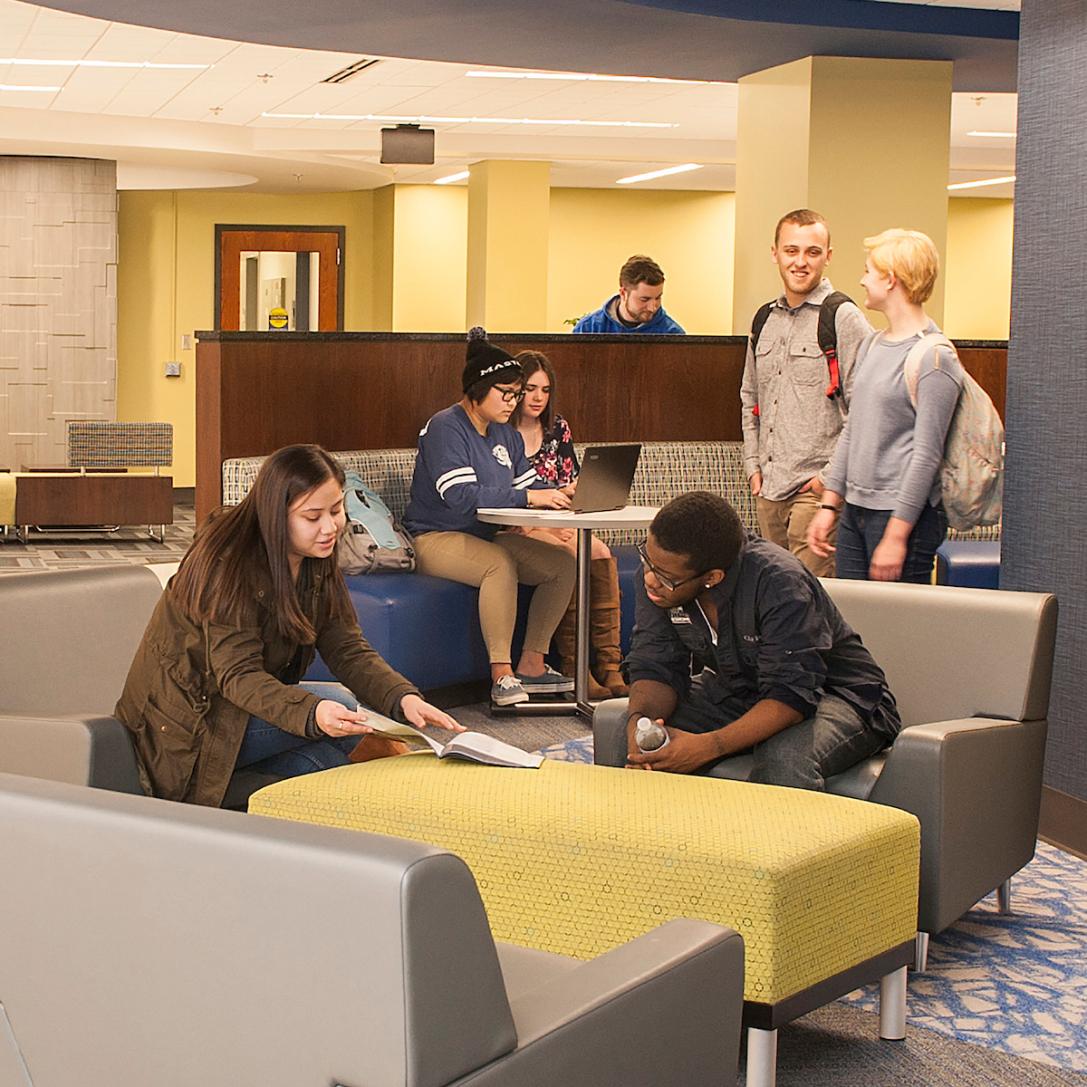 Students studying together