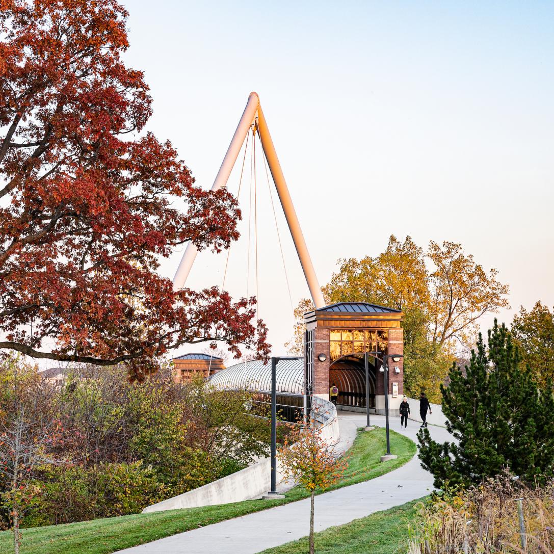 Campus in the fall