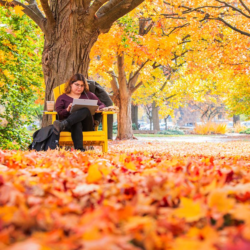 A student studies outside during beautiful fall weather.
