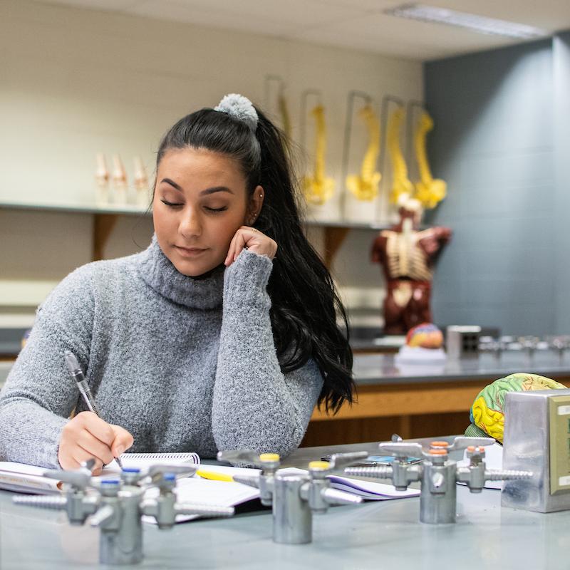 Student studying