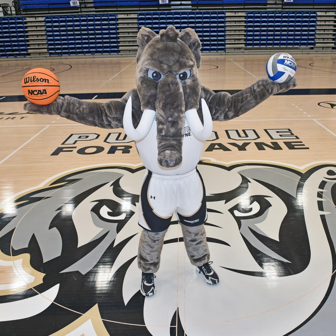 New Mastodon mascot 2025.