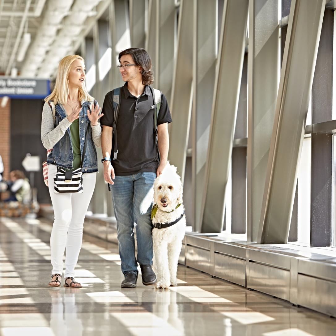Students walking with service animal