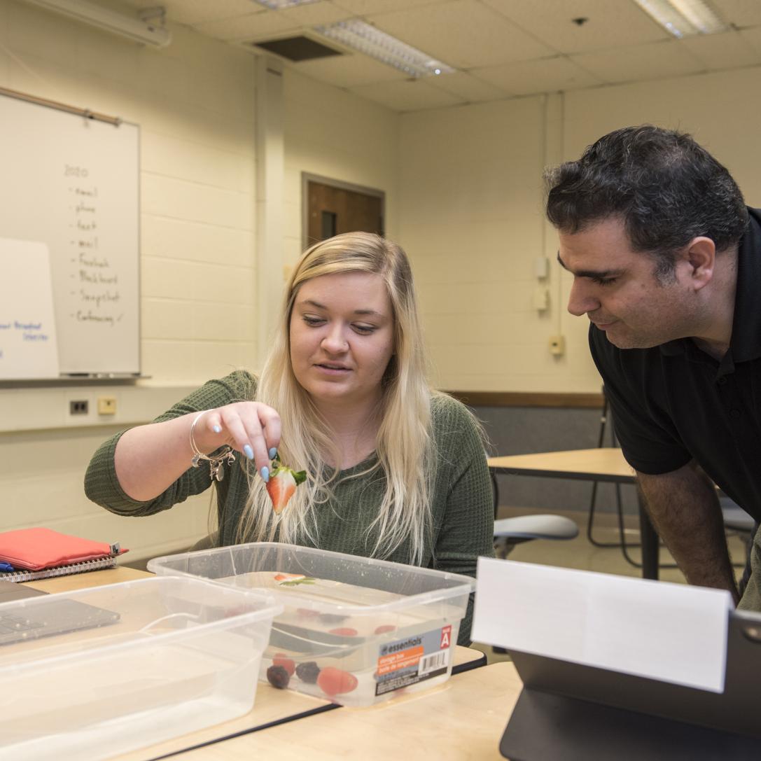 Students and professor running an experiment.