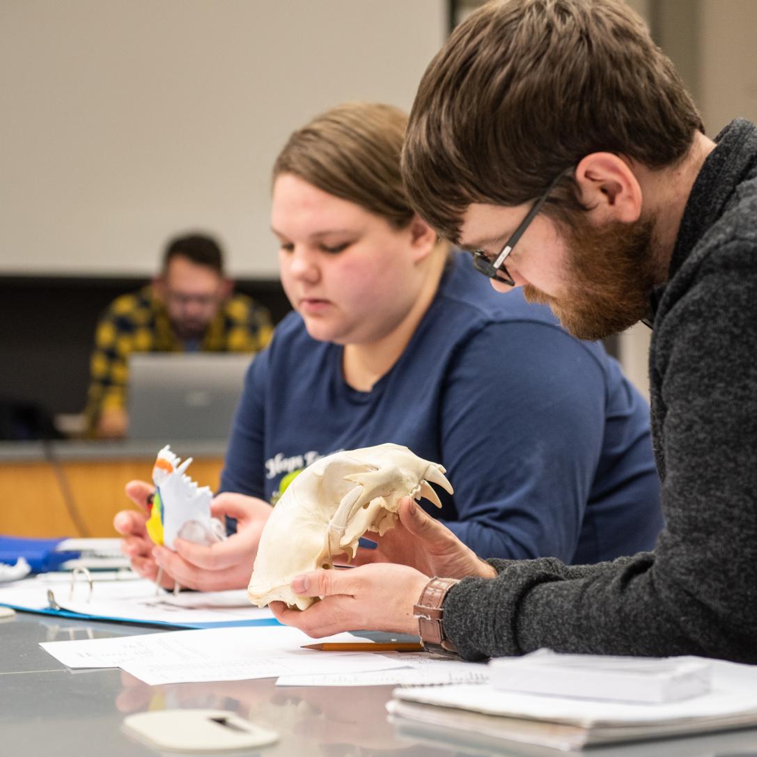 Biology record taking and research on samples in a lab setting