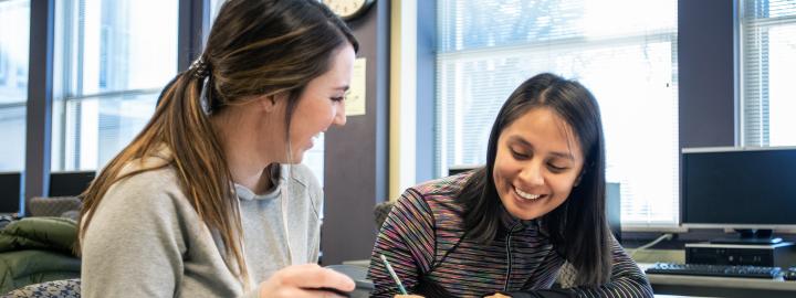 Students studying together