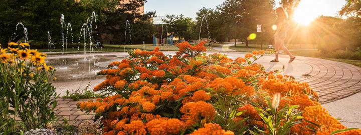 Flowers on campus