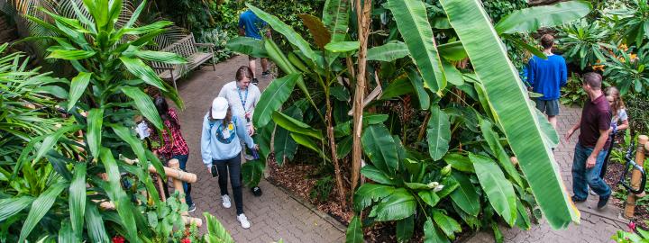Botanical Conservatory