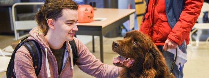 Student with therapy dog