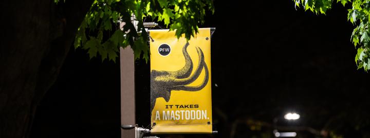 It takes a Mastodon pole banner.